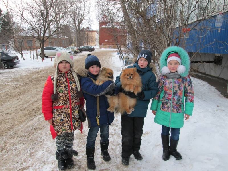 Прогулка с друзьями137626
