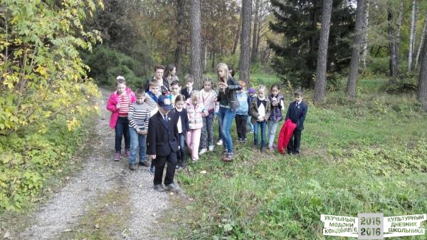 В ДЕНДРАРИИ30841