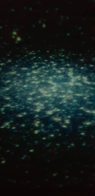 20191208_132010