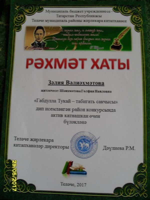 мои дипломы и грамоты118448