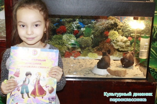 Мадагаскар выставка18098