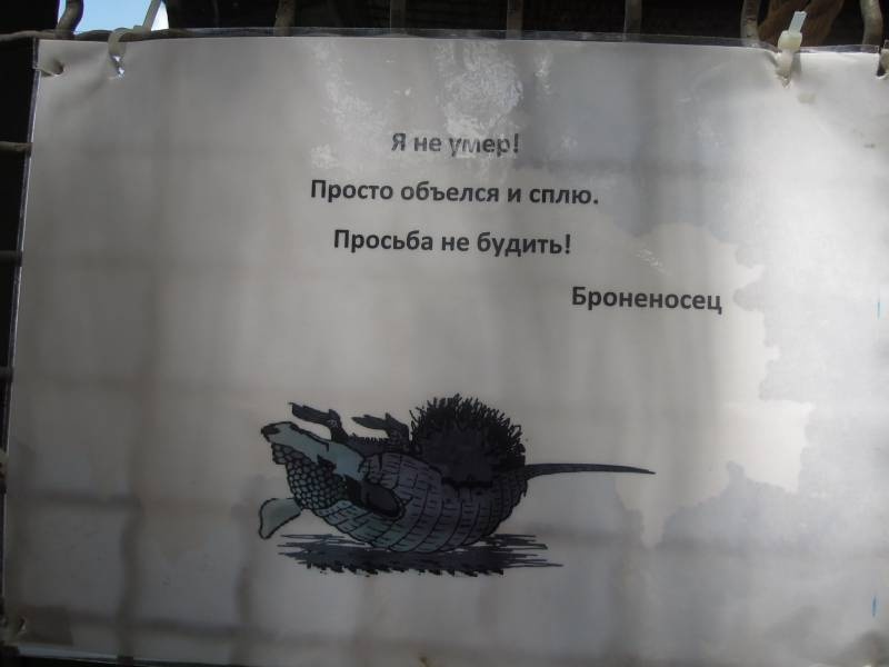 DSCN0253.JPG