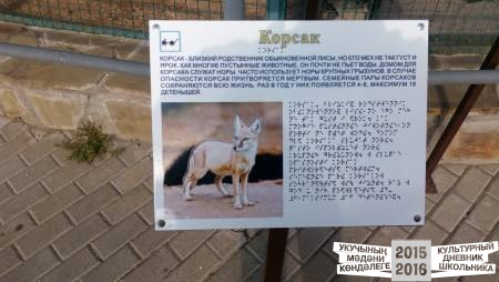 Картинная галерея37972
