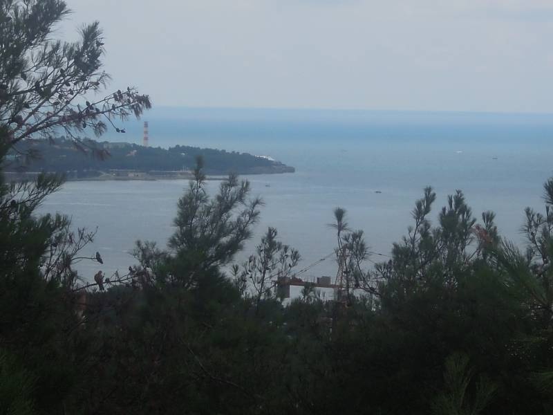 DSCN0188.JPG