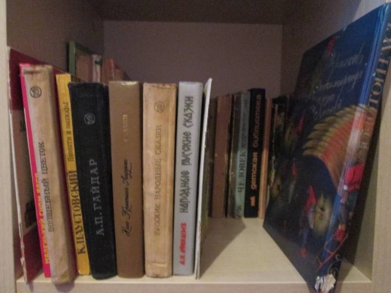 Моя книжная полка.100164
