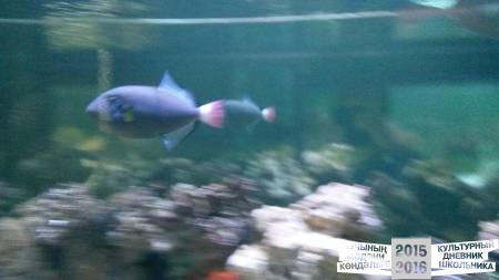 20160828_103203