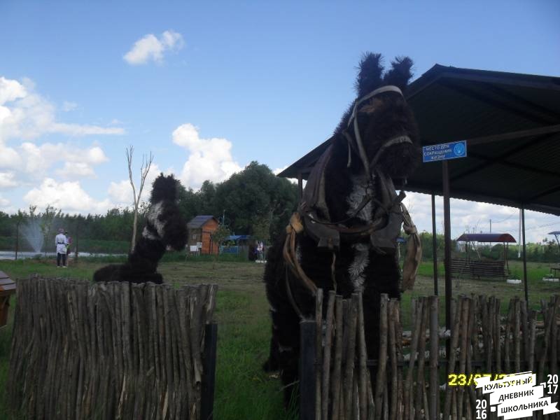 люблю лето82529