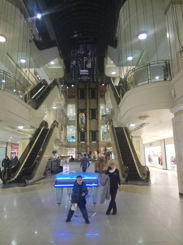Парк бабочек.