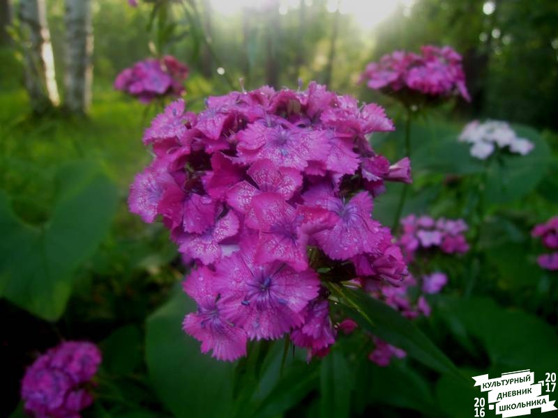 DSCN0321.JPG