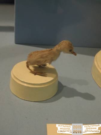 DSCN6838.JPG