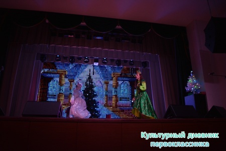 Новогоднее представление18608