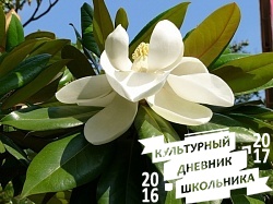 Оранжерейные растения. Зооботанический сад. Казань.78302