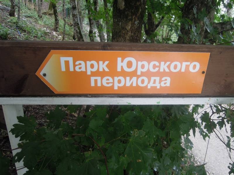 DSCN0365.JPG