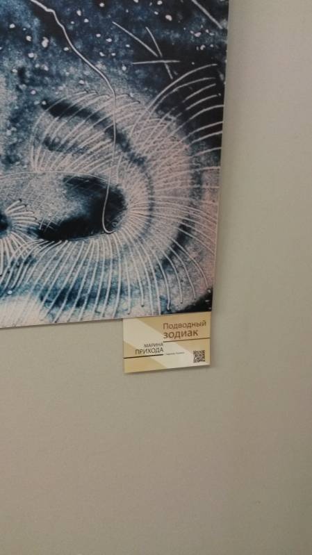 20160227_143040
