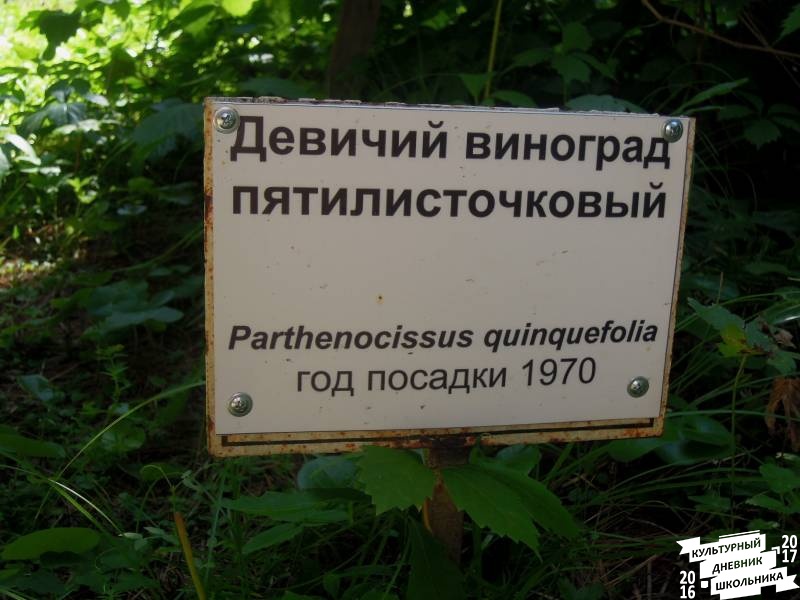 DSCN1601.JPG