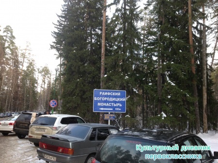 Раифа15697