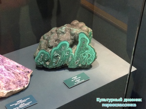 Музей естественной истории16820