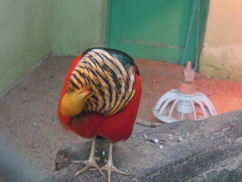 DSCN5027.JPG