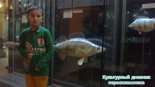 Национальный музей РТ13361