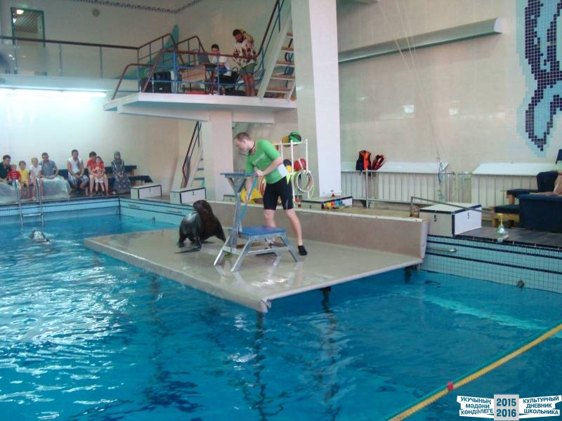 Мои летние путешествия!39623