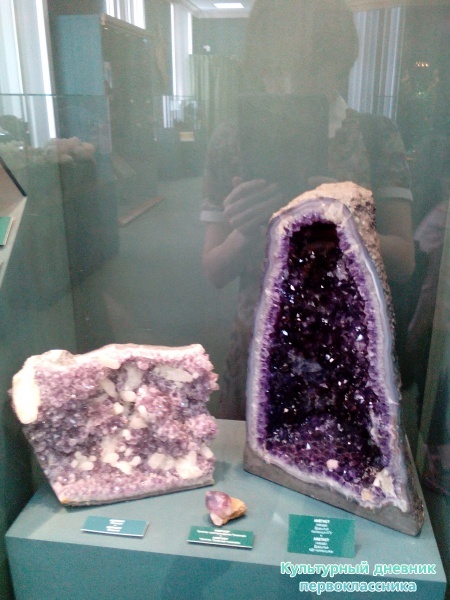 Музей естейственной истории Татарстана