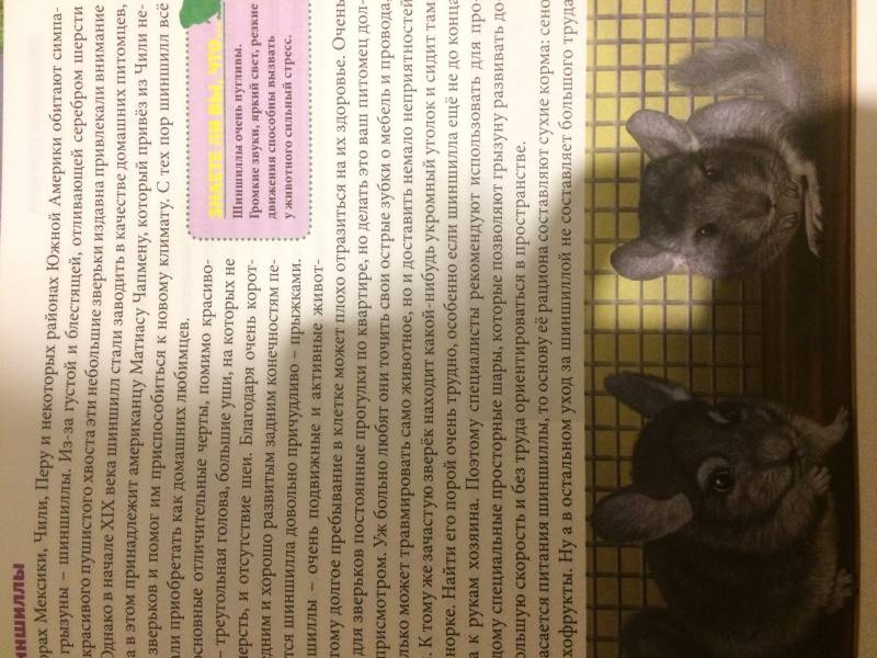 моя книжная полка104124