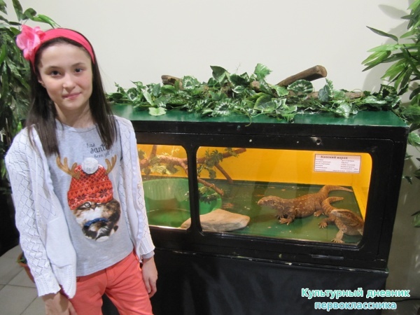 мои выходные23571