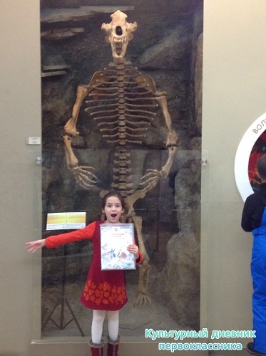 Музей естественной истории16840