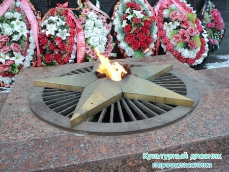 Вечный огонь3884