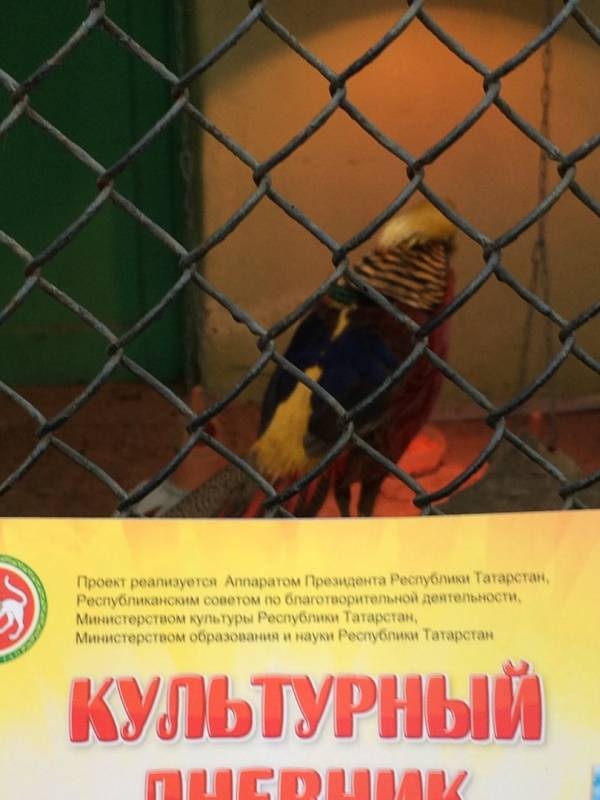 Казанский зооботсад92788