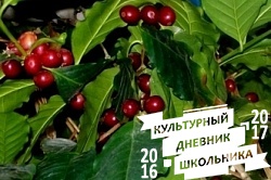 Оранжерейные растения. Зооботанический сад. Казань.78299