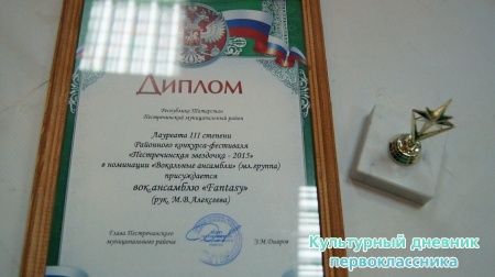 Пестречинская звездочка24142