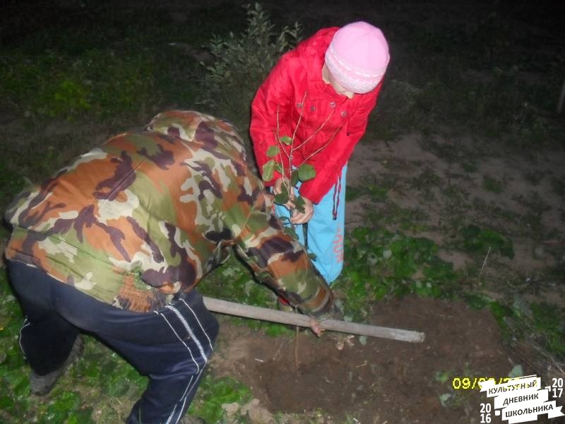 я и моя культурная команда сажает дерево76872