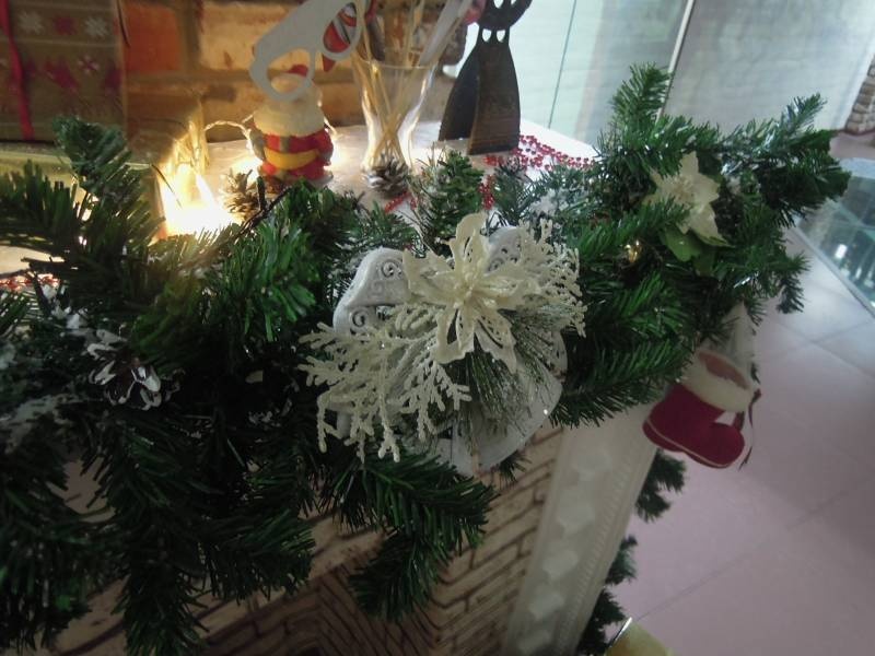 DSCN5517.JPG