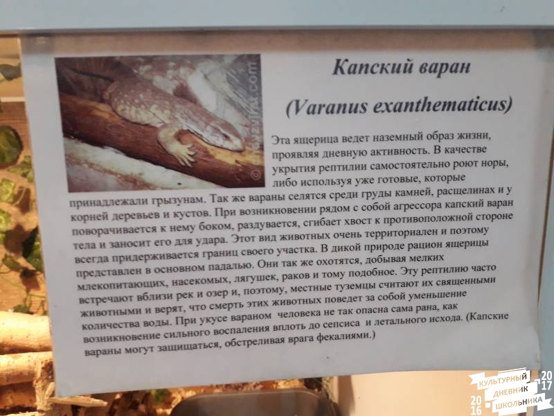 Выставка зоопарк "Живые тропики"60559