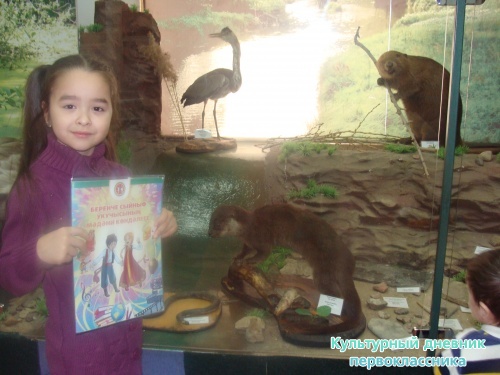 Историко-краеведческий музей7985