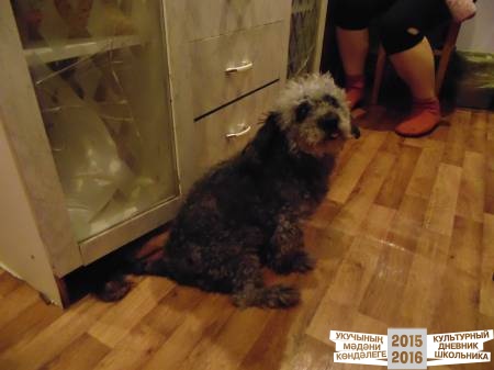 DSC04279.JPG