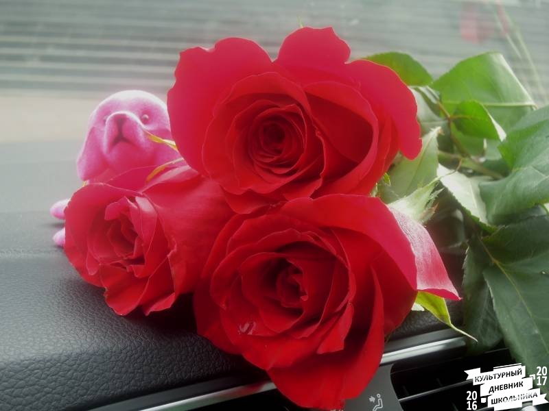 DSCN1737.JPG