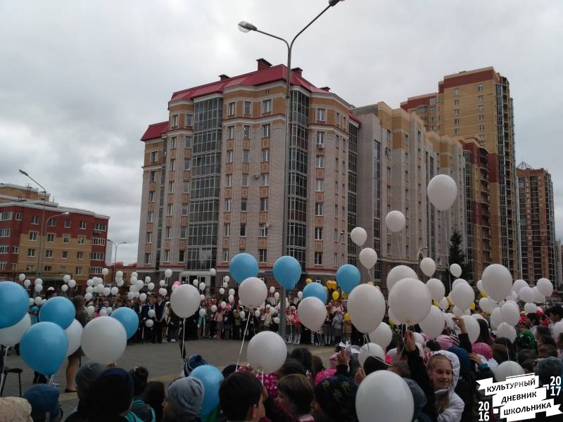 голубь18