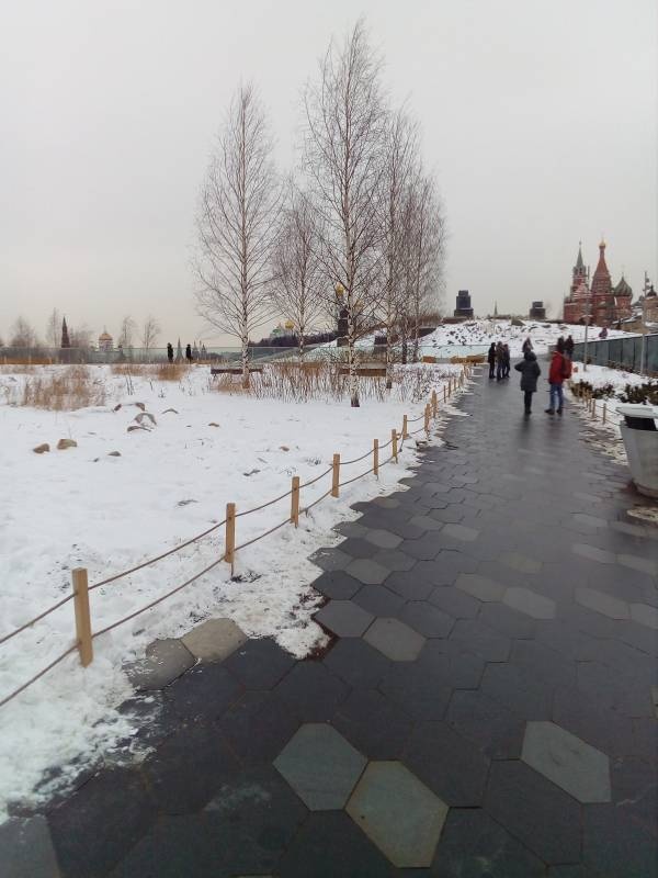 Москва зима 2018 9