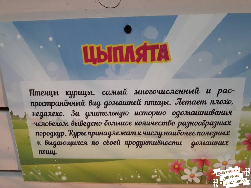 КК№46.Парк тропических бабочек.62383