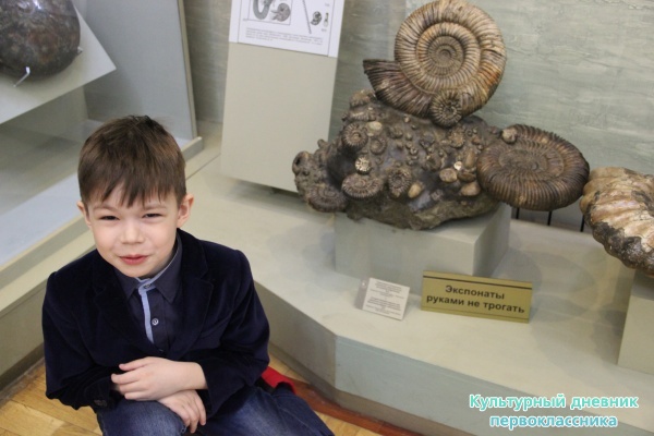 музей естественной истории Татарстана24751