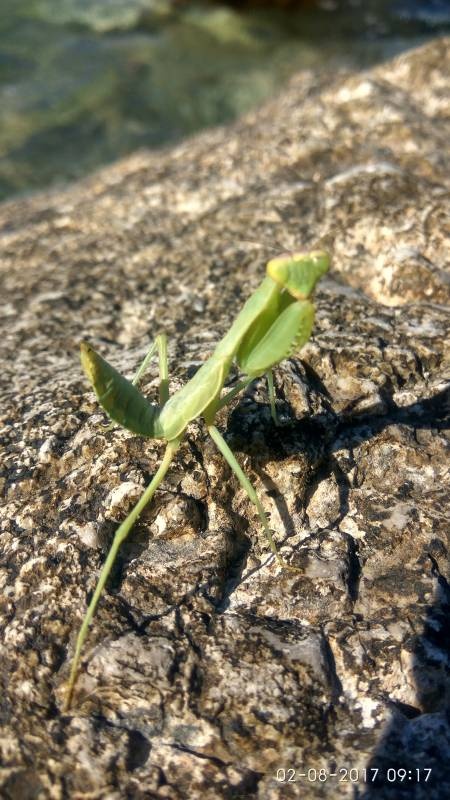 IMG_2017-08-02_091724_HDR