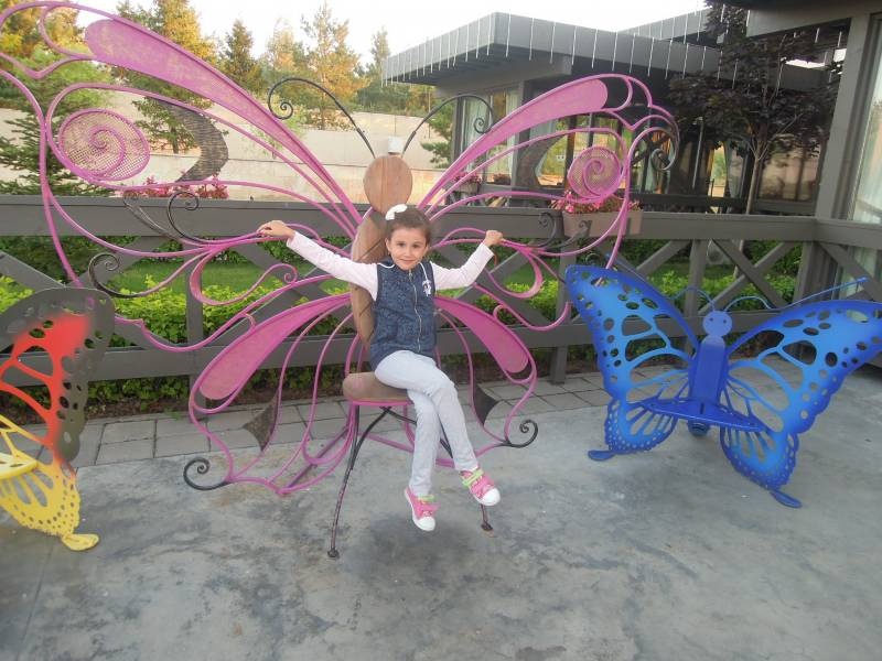 DSCN0726.JPG