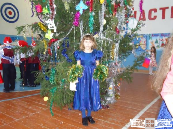 Новый год33590