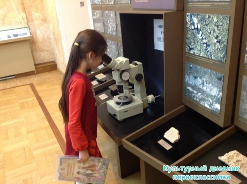 Музей естественной истории16829