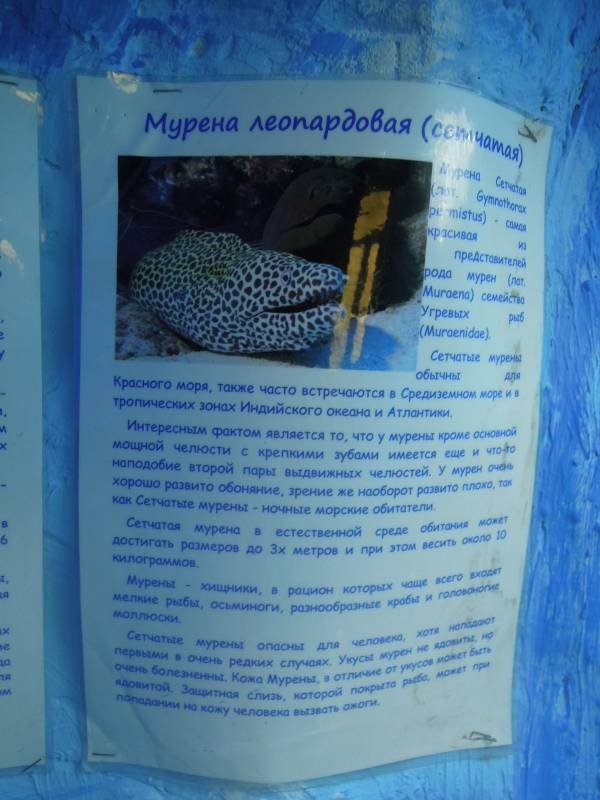 DSCN9928.JPG