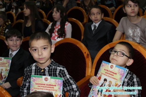 Ильфат и Ильшат с культурным дневником14317