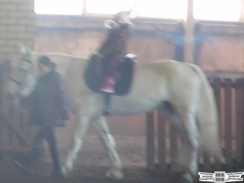 DSC03106.JPG