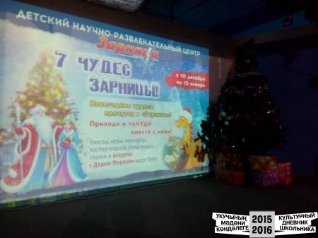 Зарница53557